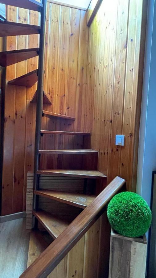 Mi Villa Apartamentos Denia Centro エクステリア 写真